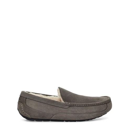 Ugg - Ascot Slipper Mens