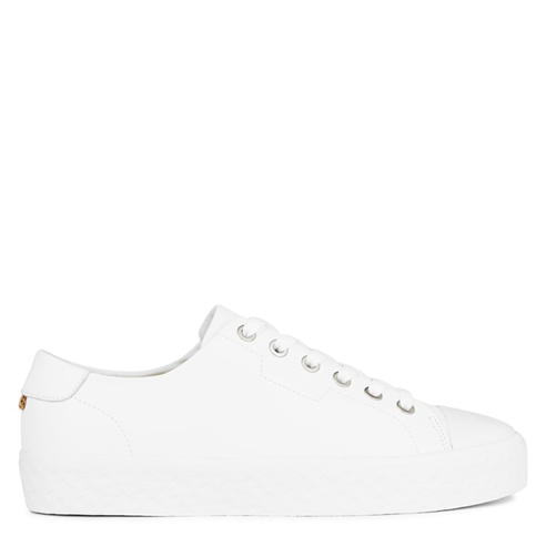 Boss - Aiden Trainers