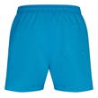 Blue - Calvin Klein - Large Logo Swim Shorts