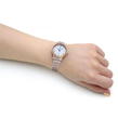 Rose Gold, Silver and Two tone - Locksley London - Ladies Locksley London Quartz Watch LB121040