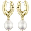Gold - Boss - Ladies BOSS Leah light  gold IP  Pearl Earrings