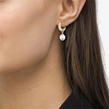 Gold - Boss - Ladies BOSS Leah light  gold IP  Pearl Earrings