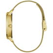 Gold and Black - Guess - Ladies Guess Nova Watch