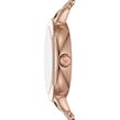 Rose Gold and Pink - Emporio Armani - Ladies Emporio Armani Watch