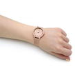 Rose Gold and Pink - Emporio Armani - Ladies Emporio Armani Watch