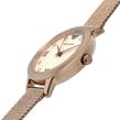 Rose Gold and Pink - Emporio Armani - Ladies Emporio Armani Watch