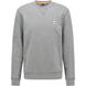 Pastel Grey 051