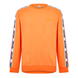Orange 0035