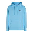 Skysail CY7 - Tommy Jeans - XS Badge Hoodie