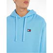 Skysail CY7 - Tommy Jeans - XS Badge Hoodie