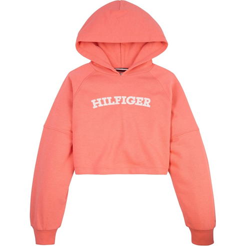 Tommy Hilfiger - MONOTYPE HOODIE