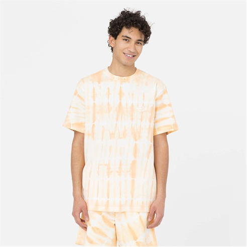 Dickies - Dickies Westfir Tee Sn32