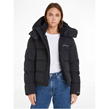 Ck Black - Calvin Klein Jeans - Essential Padded Jacket