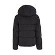 Ck Black - Calvin Klein Jeans - Essential Padded Jacket