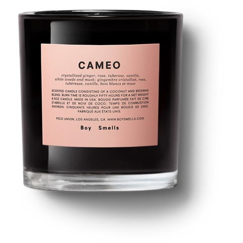Boy Smells - Boy Cameo